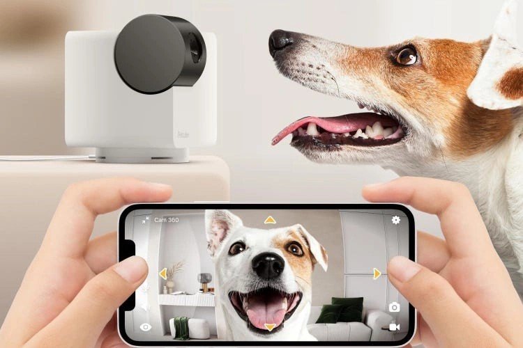 The Verge Swears By in 2025